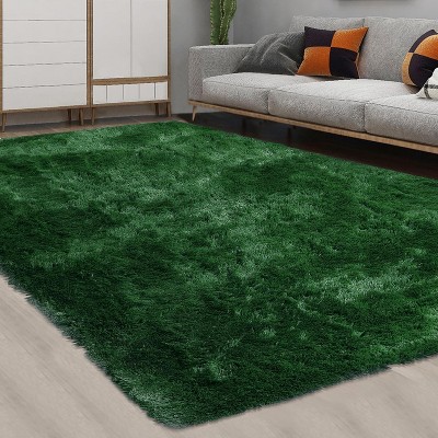 Fluffy Area Rug- Shag Area Rug for Living Room, Shaggy Large Indoor Thick Living Room Carpet with Non-Slip Backing, Soft Plush Carpet