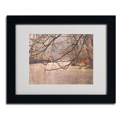Trademark Fine Art -Philippe Sainte-Laudy 'Skylight' Matted Framed Art