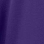 midnight violet