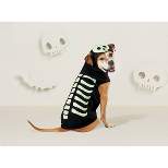 Skeleton Glow Hoodie Halloween Dog and Cat Costume - Hyde & EEK! Boutique™