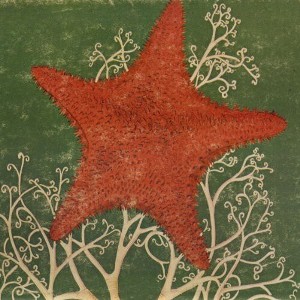 The Blithe Sons - Arm of the Starfish (CD) - 1 of 1