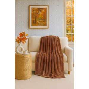 Kate Aurora Ultra Lux Oversized Heavyweight Pumpkin Spice Accent Throw Blanket - 50"x70" - 1 of 4