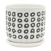 Okak Set of 2 Ceramic Planters with Polka Dot Design 5/6 Inch, White and Black for Indoor and Outdoor Use - 4 of 4