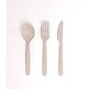 BioSelect » DWF-C Clear Compostable Cutlery Fork Cold Applications