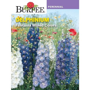 Burpee Delphinium Fantasia Flower Seeds - 1 of 2