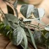 Sullivans Artificial 72" California Eucalyptus Garland - 2 of 4