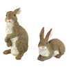 Design Toscano Bashful and Hopper Garden Bunnies Collection: Set of Two - 3 of 4