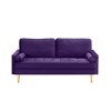 65'' Velvet Minimalist Loveseat Sofa with Metal Legs, Includes Cushions, Suitable for Living Room or Bedroom - 3 of 4