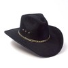 Western Express Felt Finish Western Pinch Front Hat - 2 of 4