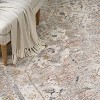 Nourison Heirloom Blend Vintage Medallion Indoor Area Rug - 3 of 4