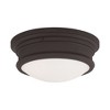 Livex Lighting Astor 2 - Light Flush Mount in  Bronze - 4 of 4