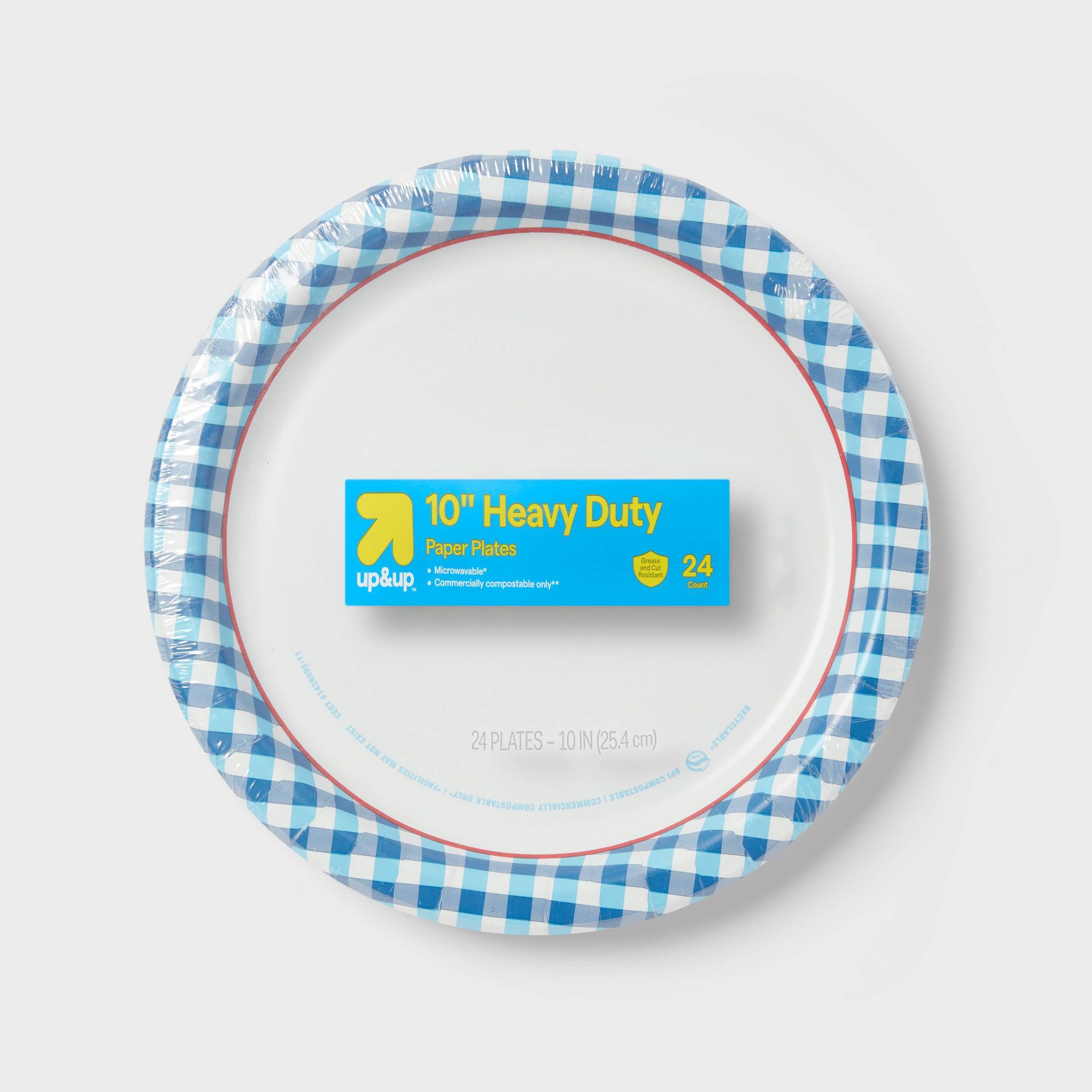 Disposable Plate 10" - Blue Checkered - 24ct - up&up™