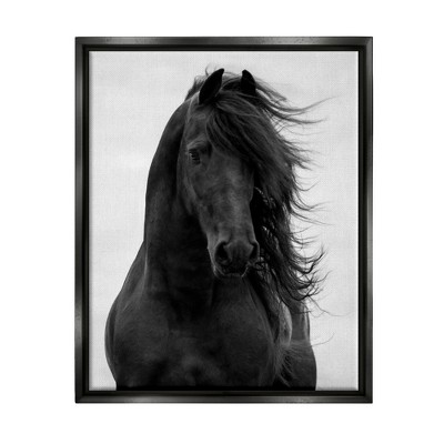 Beautiful Gray Horse newest Gallery Canvas Wraps, Horizontal Frame