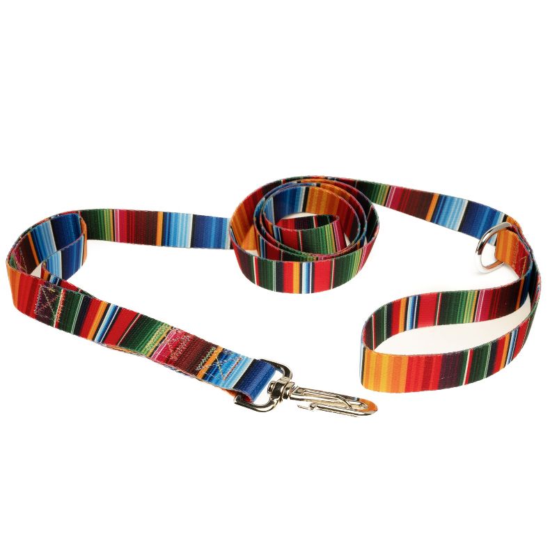 Country Brook Petz Deluxe Serape Dog Leash, 1 of 4