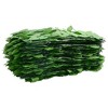 vidaXL Balcony Screen with Green Leaves 236.2"x39.4" - 3 of 4