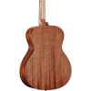 Alvarez AG60 Grand Auditorium Acoustic Guitar Shadow Burst - 2 of 4