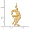 Black Bow Jewelry 14k Yellow Gold Satin and Diamond Cut Hockey Player Pendant - 4 of 4