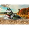 Design Toscano Bert The Frog Garden Toad Statue - Multicolored - 2 of 4