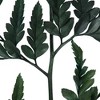 Vickerman 12-15" Fern Green Fern-Leatherleaf, 6 stems, Preserved - 3 of 4