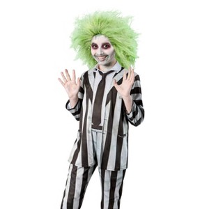 Warner Bros. Kids' Beetlejuice Beetlejuice Deluxe Halloween Wig - 1 of 3