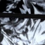 black abstract