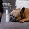 PetFriendly Mellow Out Bundle - 4 of 4