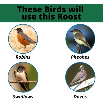 Green Cedar and Poly Lumber Wall-Mounted Birdhouse