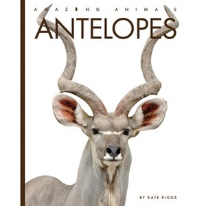 Antelopes - (Amazing Animals) by  Kate Riggs (Paperback) - 1 of 1