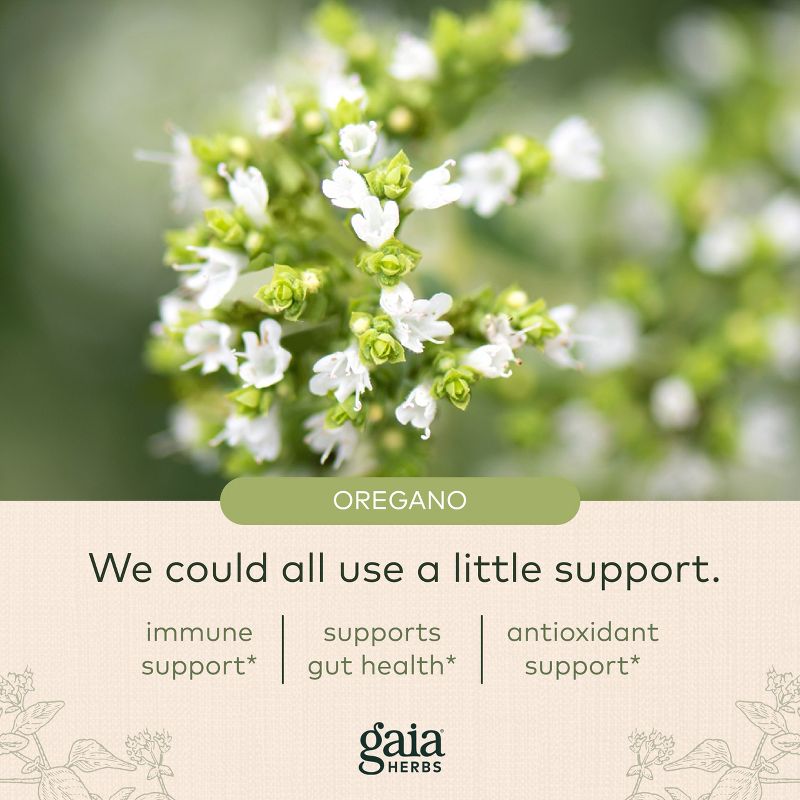 Gaia Herbs Oil of Oregano - Immune and Antioxidant Support Supplement with Oregano Oil, Carvacrol, and Thymol, 5 of 9