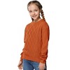 Girls' Cable Knit Sweater, Crew Neck Long - Sleeve Pullover for Kids, Casual Winter Fall Knitted Top - 3 of 4