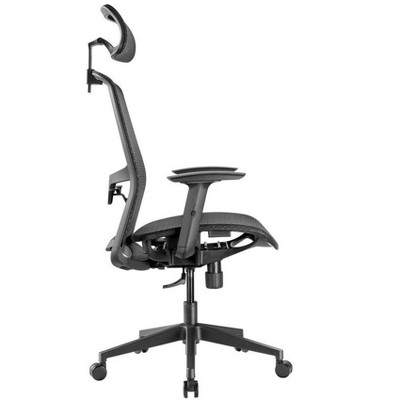 Black Mesh Ergonomic Office Chair with Adjustable Arms and Headrest