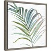 Amanti Art Tropical Blush V by Lisa Audit Canvas Wall Art Print Framed 16-in. x 16-in. - 3 of 4