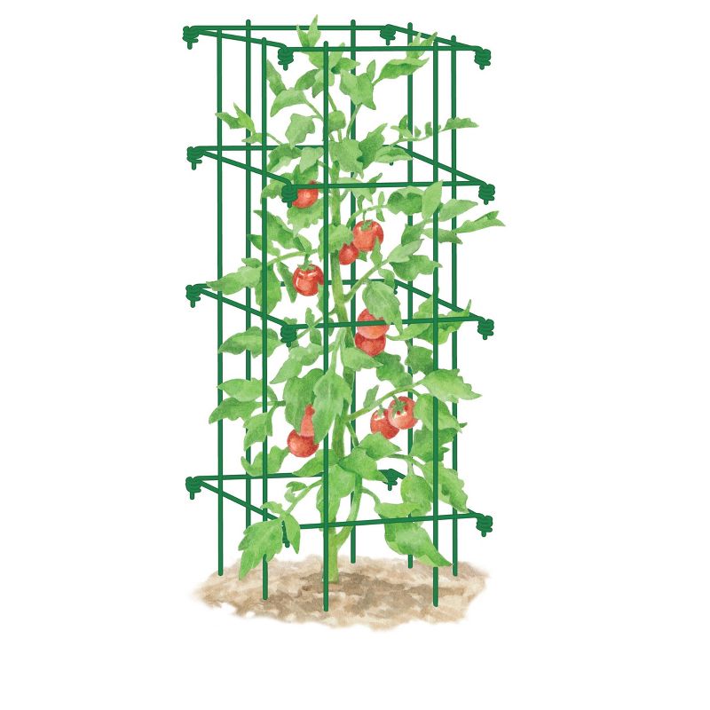 Square Tomato Cage, Single, 4 of 5