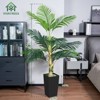 5FT Silk Island Golden Cane Palm Tree (Black Planter) - 2 of 4