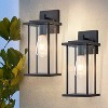 C Cattleya 2 Pack Matte Black Outdoor Wall Lights with Clear Glass Shade - 2 of 4