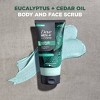 Dove Men+Care Body & Face Scrub with Plant-Based Moisturizers - Eucalyptus & Cedar Oil - 9oz - 3 of 4