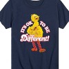 Boys' - Sesame Street - Its Ok To Be Different Short Sleeve Graphic T-Shirt - 2 of 4