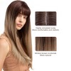 Jessie's Wig 24 Inch Straight Wig Synthetic Wig for Women Brown to Blonde Ombre Color 1Pc/Pack - 3 of 4