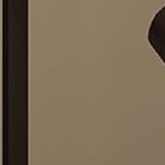 retro brown color table