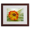 Trademark Fine Art - Kathie McCurdy 'Furnace Run Daffodil Large' Matted Framed - 3 of 3