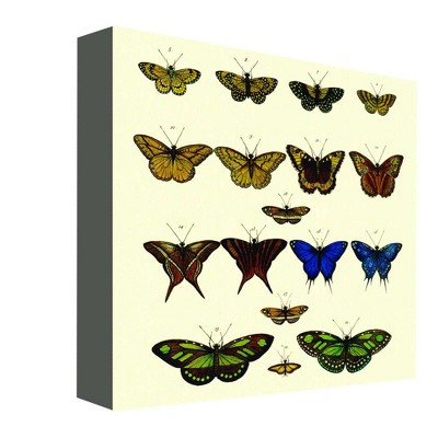 16" x 16" Butterfly Colors I Decorative Wall Art - PTM Images