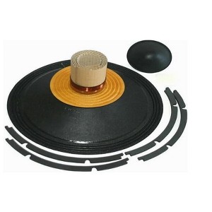 B&C 21" RECONE KIT R21DS115-4 - 1 of 1