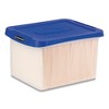 Bankers Box Heavy Duty Plastic File Storage, Letter/Legal Files, 14" x 17.38" x 10.5", Clear/Blue - 2 of 4