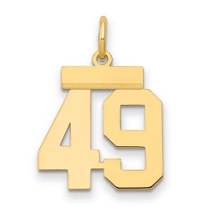 Black Bow Jewelry 14k Yellow Gold, Athletic Collection, Small Polished Number 49 Pendant - 1 of 3