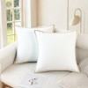 REGALWOVEN Fade-Resistant Modern Soft Solid Cushion Cases 2 Pcs - 2 of 4