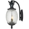 Acclaim Lighting Lanai 2 - Light Wall Light in  Matte Black - 3 of 4