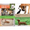 Smithsonian All-Star Readers: All about Dogs Level 1 - (Smithsonian Leveled Readers) by Maggie Fischer (Paperback) - 4 of 4