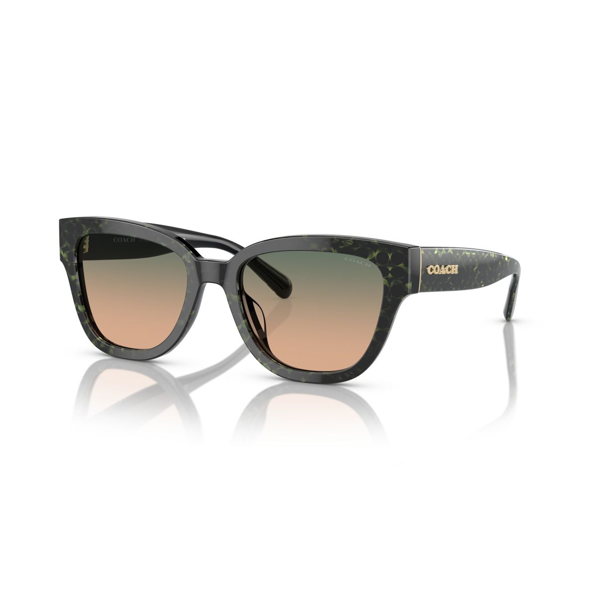Coach HC8379U 54mm Female Butterfly Sunglasses