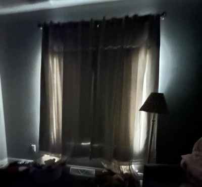 Guest review image 1 of 1, zoom in