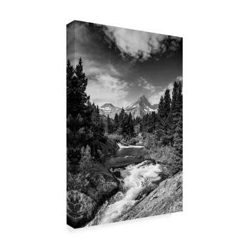 Trademark Fine Art -Michael Blanchette Photography 'Glacial Creek Monochrome' Canvas Art